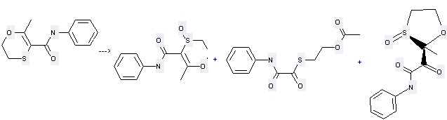 Carboxin can produce 5,6-dihydro-2-methyl-1,4-oxathiin-3-carbanilide-4-oxide, acetic acid 2-phenylaminooxalylsulfanyl-ethyl ester and 2-(2-methyl-3-oxo-3l4-[1,3]oxathiolan-2-yl)-2-oxo-N-phenyl-acetamide. 